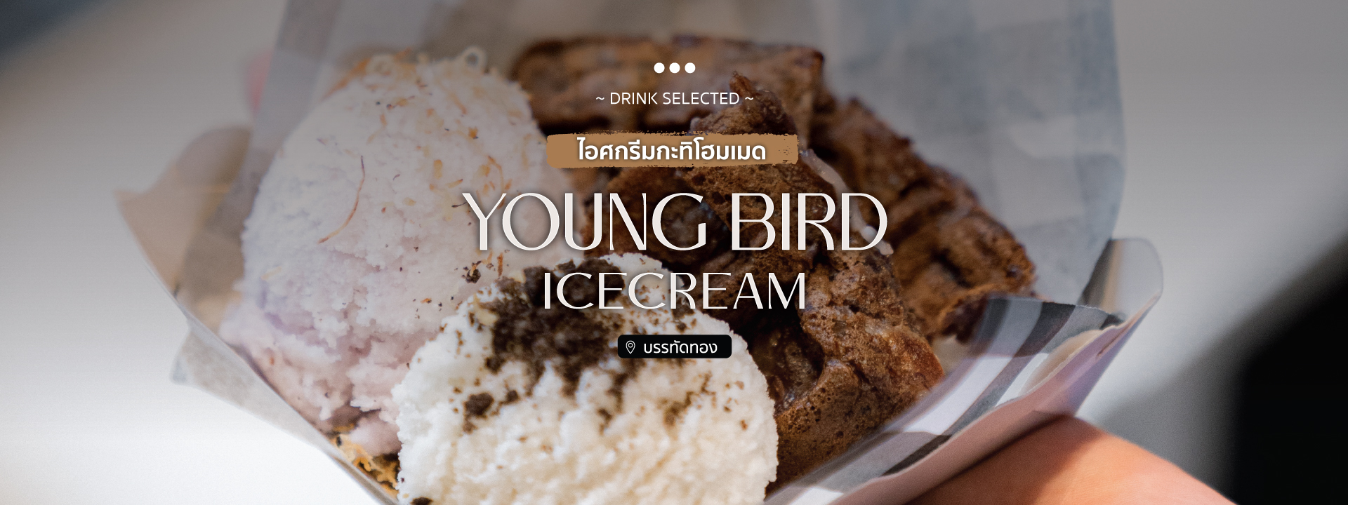 Young Bird Icecream ไอศกรีมกะทิโฮมเมด