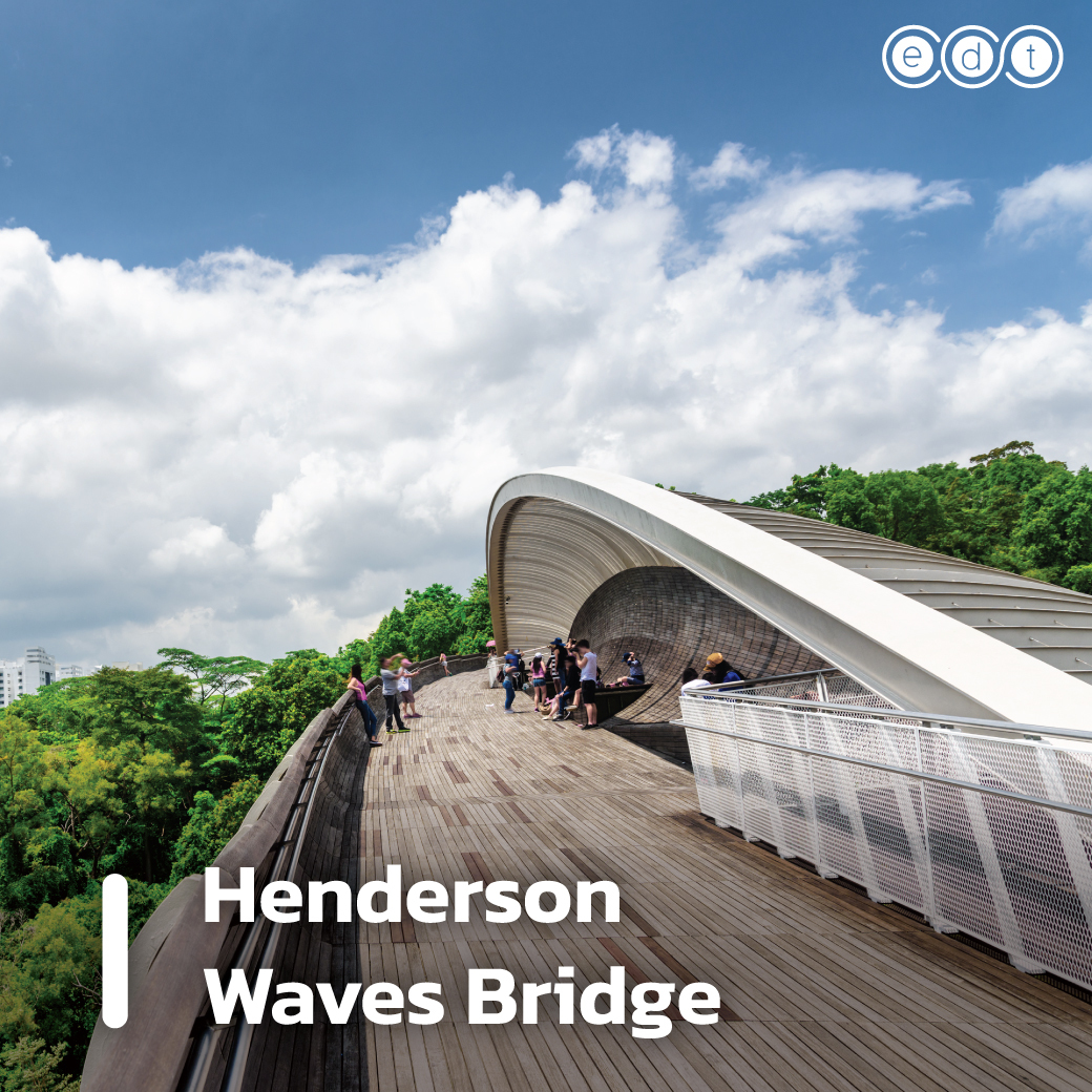 Henderson Waves Bridge