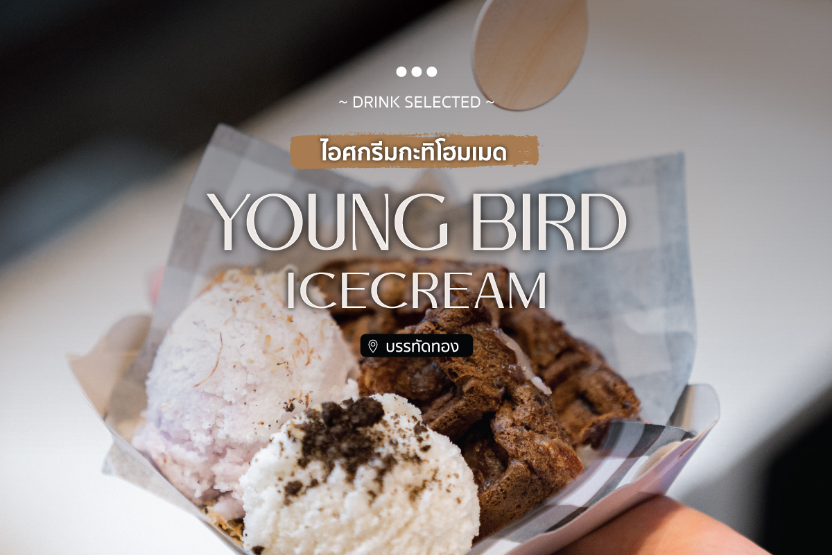 Young Bird Icecream ไอศกรีมกะทิโฮมเมด