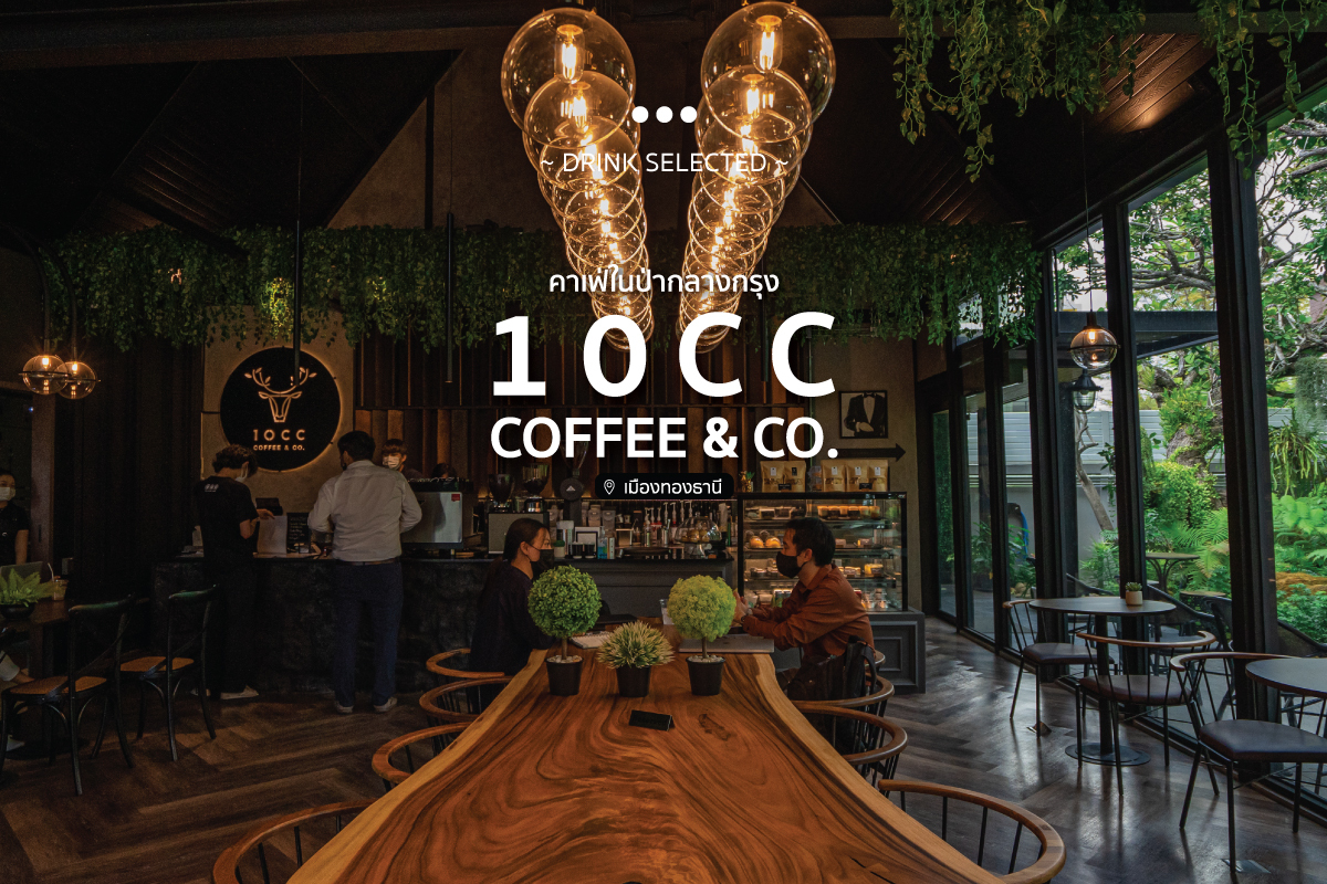 10cc Coffee & Co. คาเฟ่ในป่ากลางกรุง @เมืองทองธานี