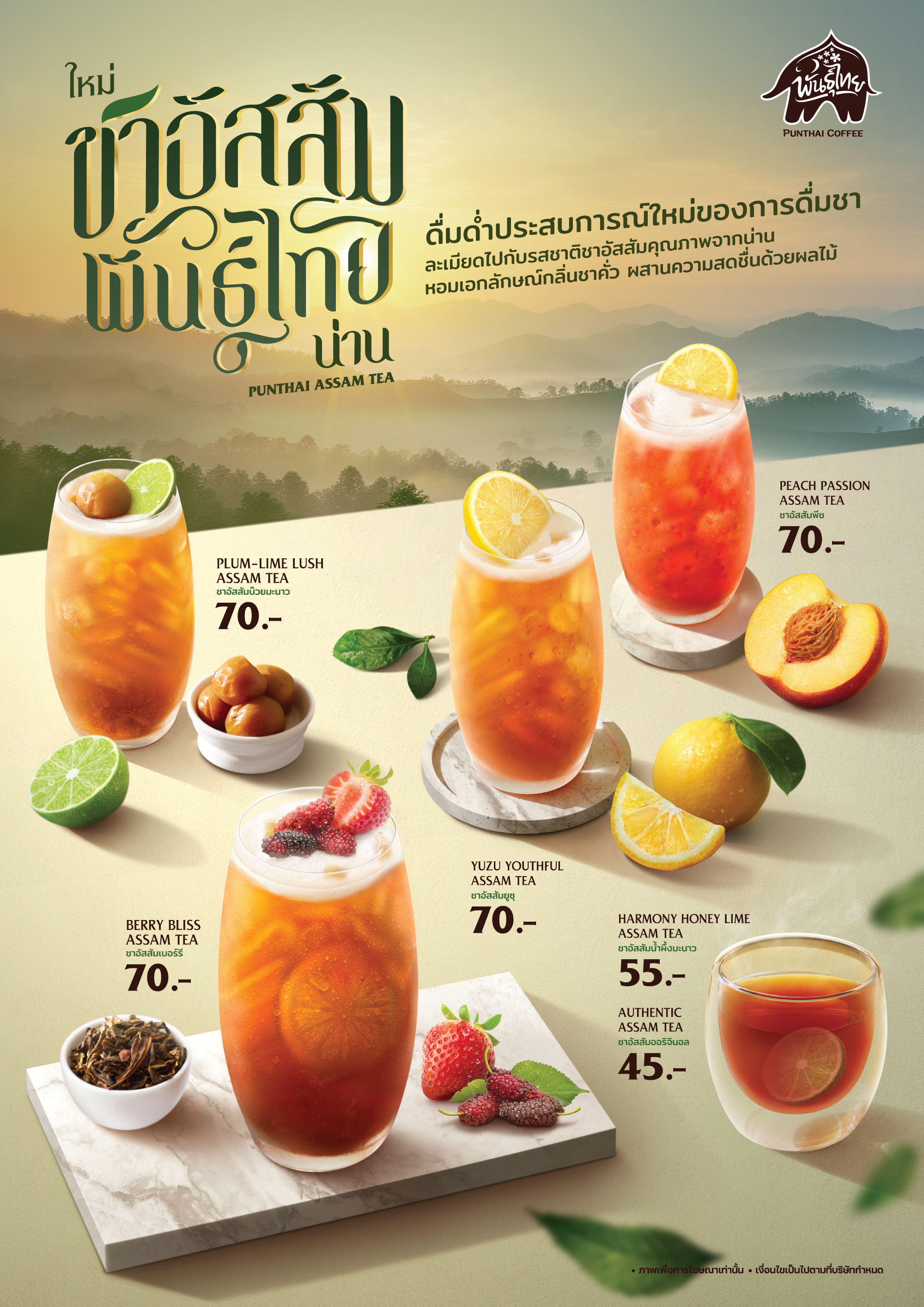 ชาอัสสัมพันธุ์ไทย