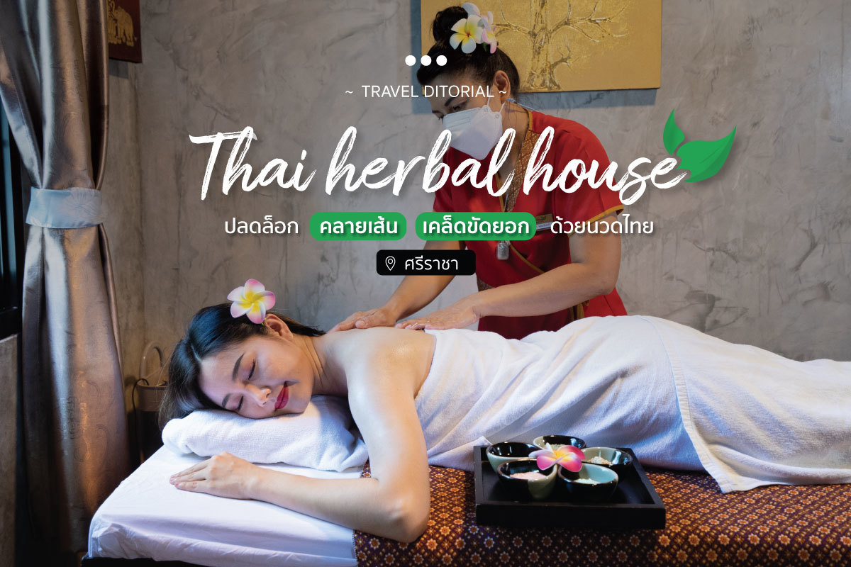 Thai Herbal House ปกweb