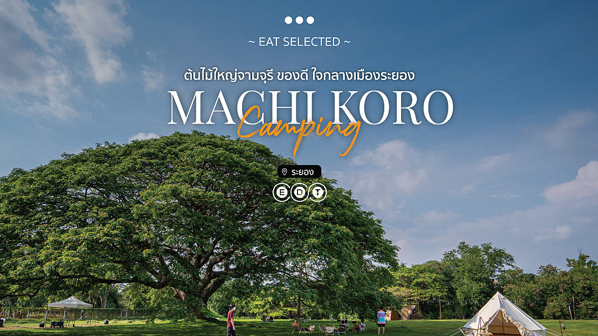 Machi Koro Camping ต้นไม้ใหญ่จามจุรี ของดีใจกลางเมืองระยอง