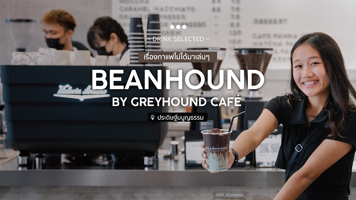 BEANHOUND by GreyHound Café เรื่องกาแฟไม่ได้มาเล่นๆ แม็คโครประดิษฐ์มนูญธรรม