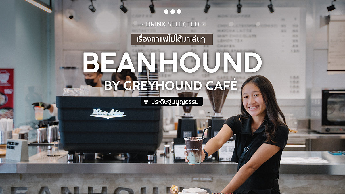 BEANHOUND by GreyHound Café เรื่องกาแฟไม่ได้มาเล่นๆ แม็คโครประดิษฐ์มนูญธรรม