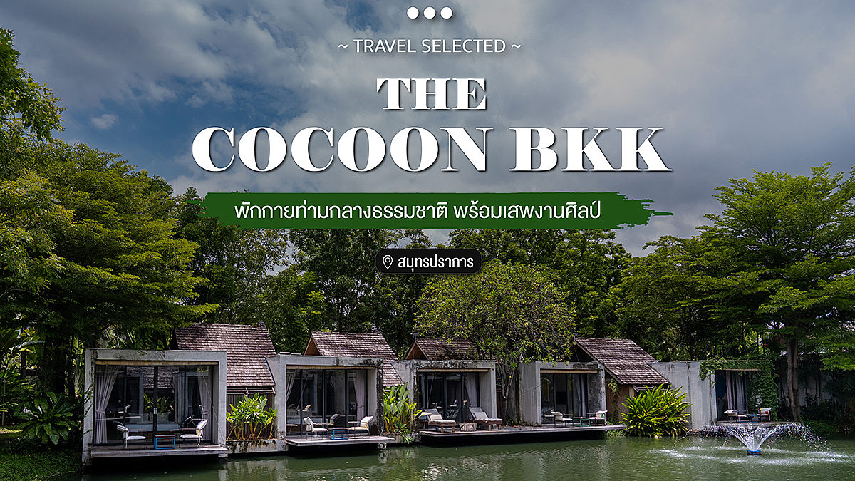 COCOON BKK พักกายท่ามกลางธรรมชาติ พร้อมเสพงานศิลป์ สมุทรปราการ