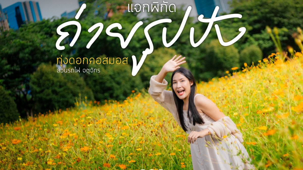 คอสมอส WEB 07